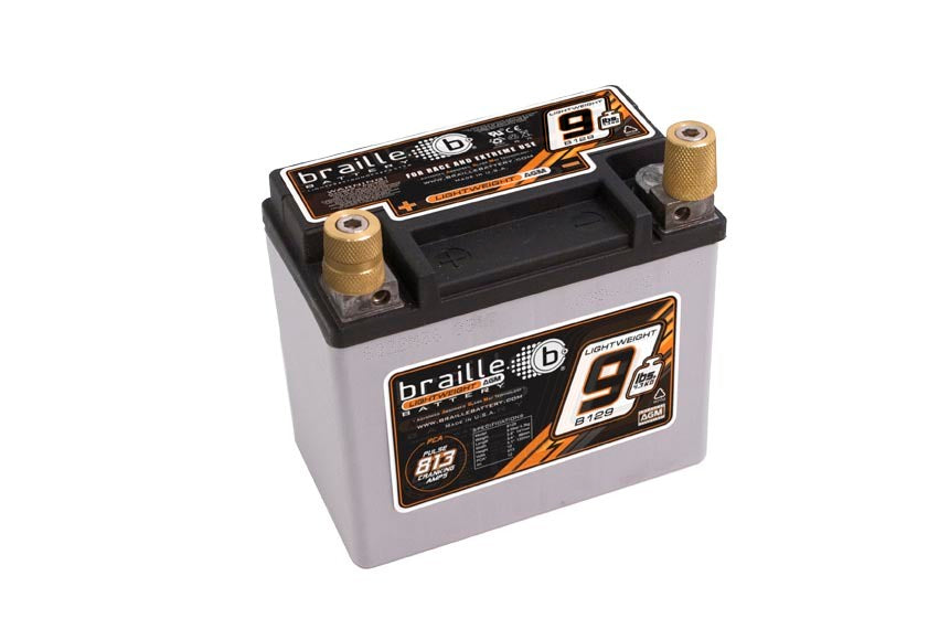 Racing Battery 9.5lbs 813 PCA