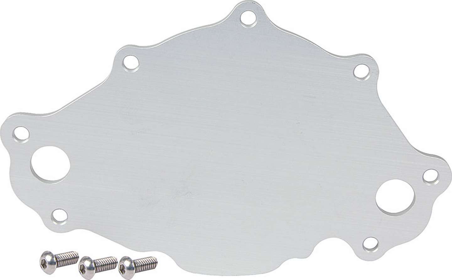 Water Pump Back Plate Late Model SBF