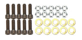 Brake Rotor Bolt Kit 5/16in-24