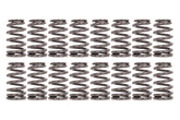 Beehive LS6+ Valve Springs GM LS