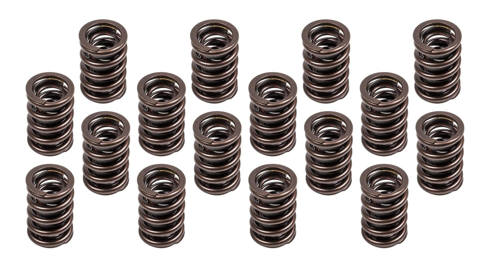 1.460 Valve Spring Set 16