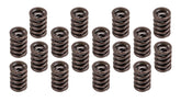 1.460 Valve Spring Set 16