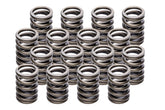 1.500in Valve Springs - BBC