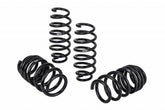 Pro-Kit Tesla 17-20 Long Range RWD (4 Springs)