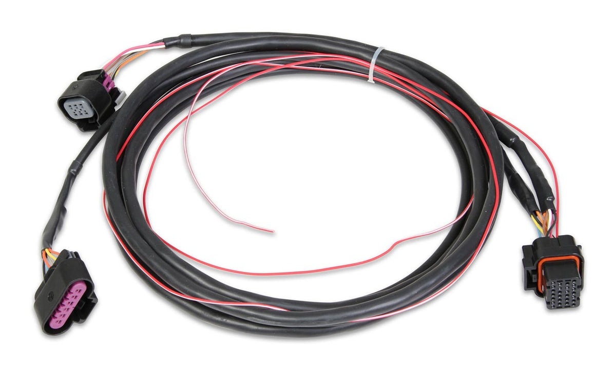 Drive By Wire Harness GM
