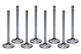 BBC S/D 2.300 Intake Valves